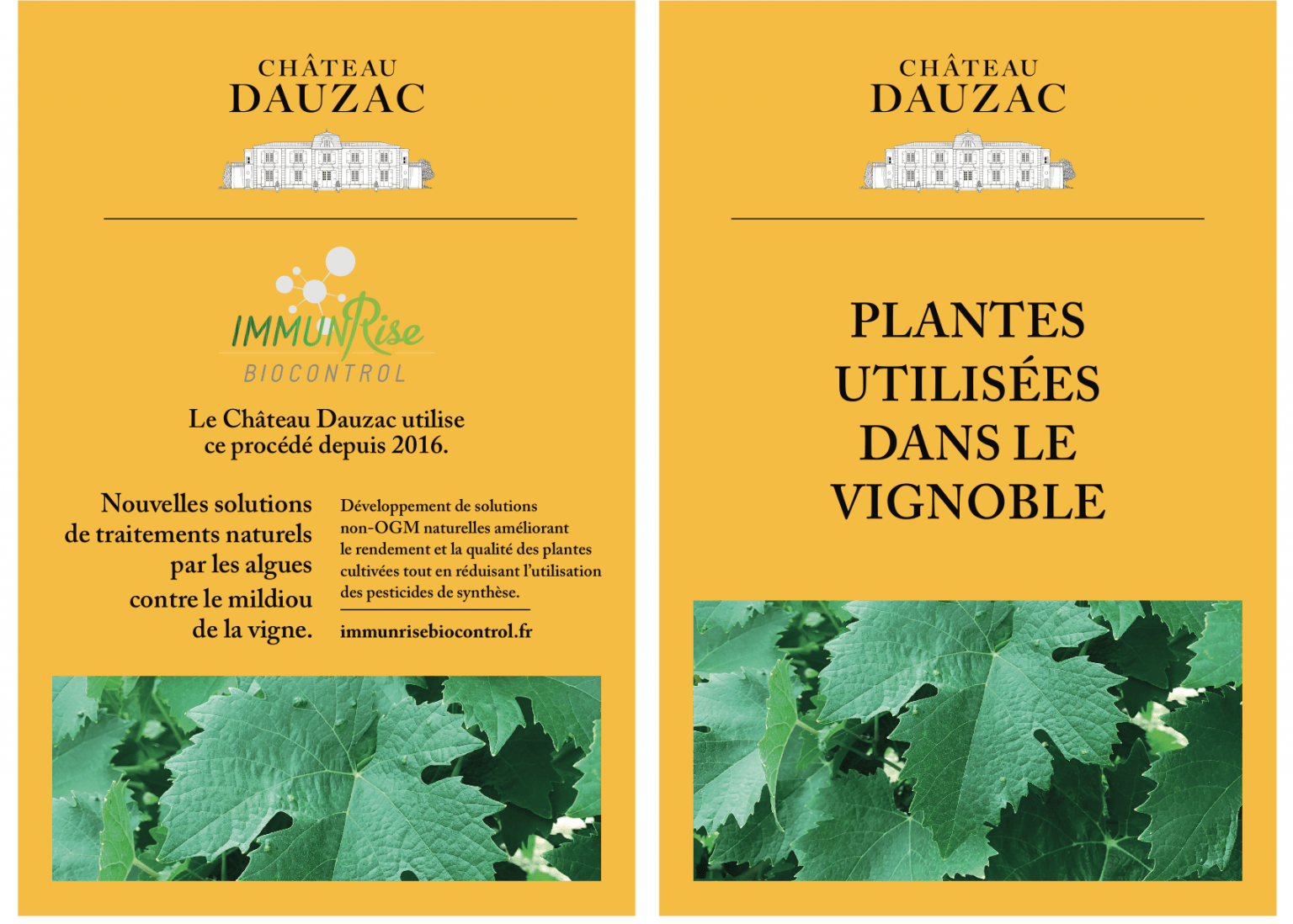 CHATEAU DAUZAC 2019